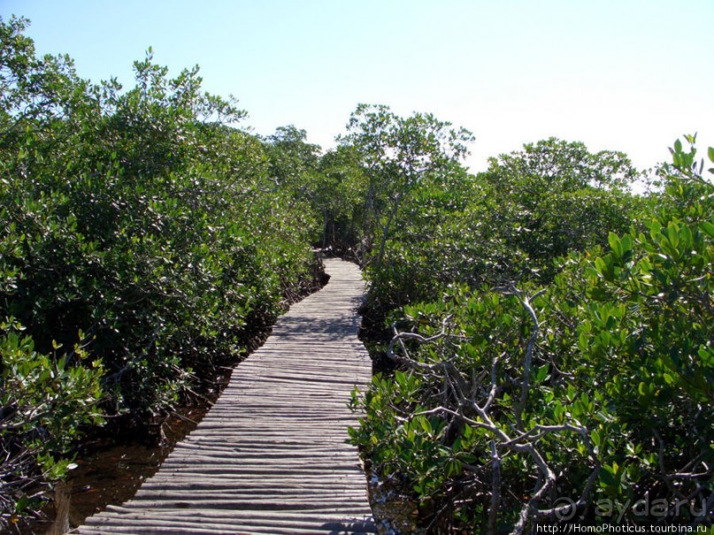 Варадеро: внутри и вокруг