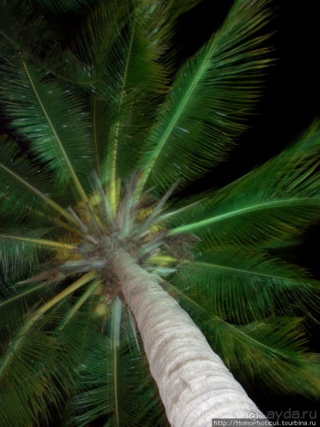 Варадеро: внутри и вокруг