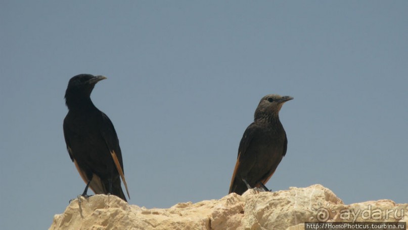 Мертвая крепость над Мертвым морем