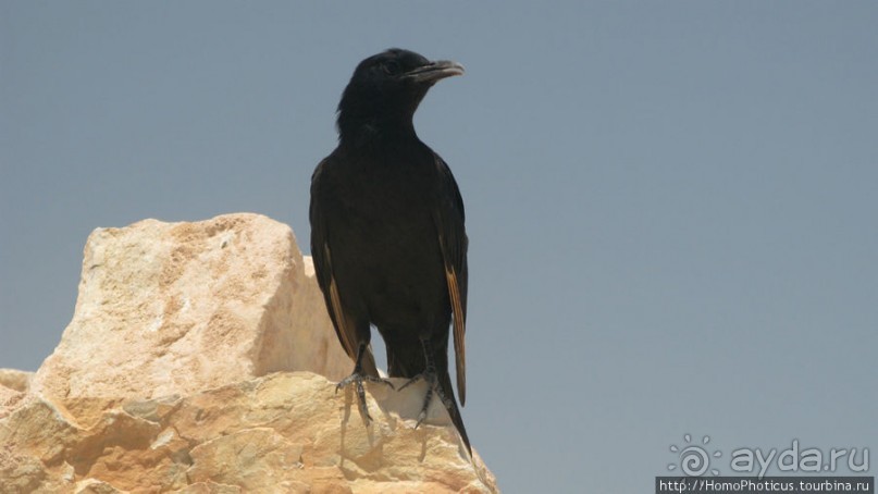 Мертвая крепость над Мертвым морем