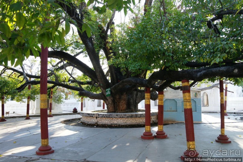 Куча драгоценностей