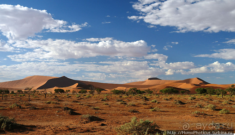 Намибийские пейзажи. Ч.3 Сердце Намиба