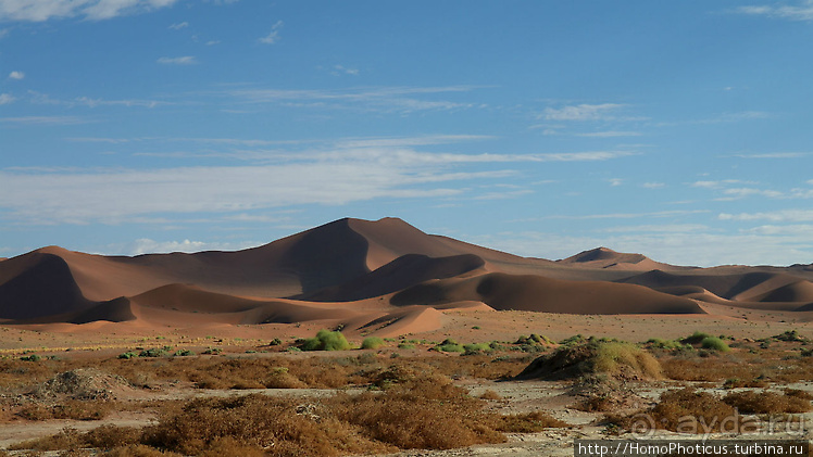 Намибийские пейзажи. Ч.3 Сердце Намиба