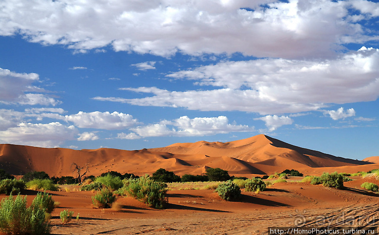 Намибийские пейзажи. Ч.3 Сердце Намиба