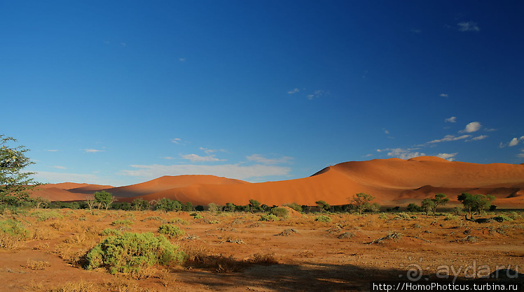 Намибийские пейзажи. Ч.3 Сердце Намиба