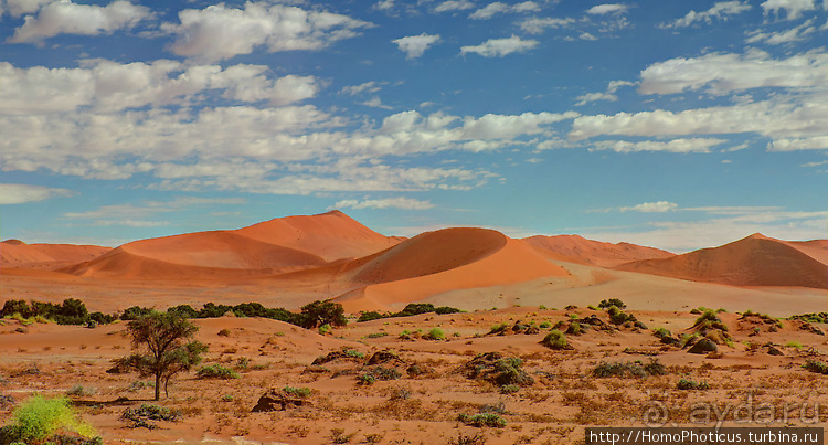 Намибийские пейзажи. Ч.3 Сердце Намиба