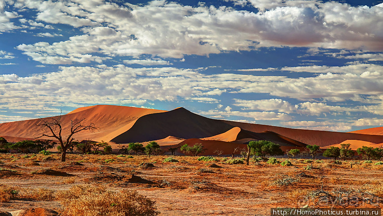 Намибийские пейзажи. Ч.3 Сердце Намиба