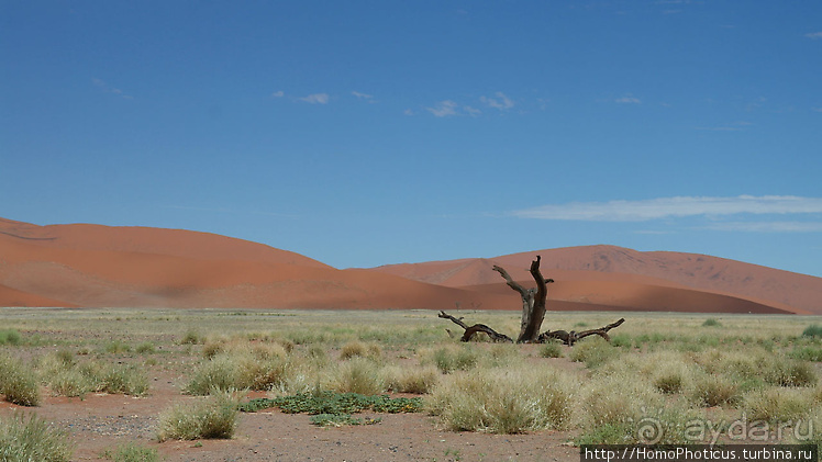Намибийские пейзажи. Ч.3 Сердце Намиба
