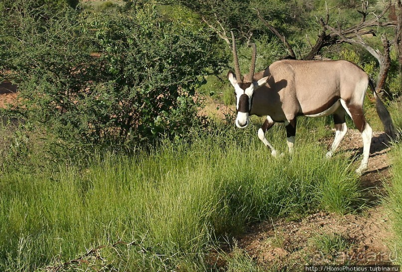 Преддверие Намиба