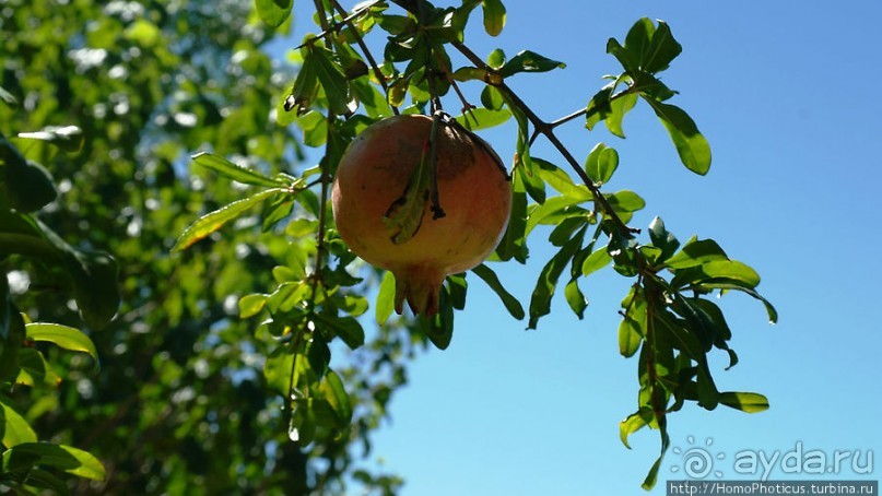 Преддверие Намиба