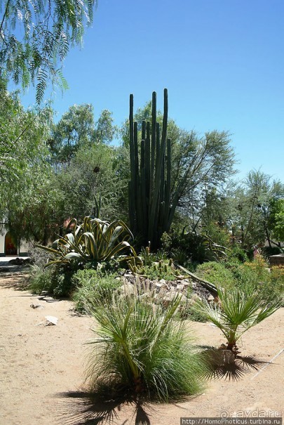 Преддверие Намиба