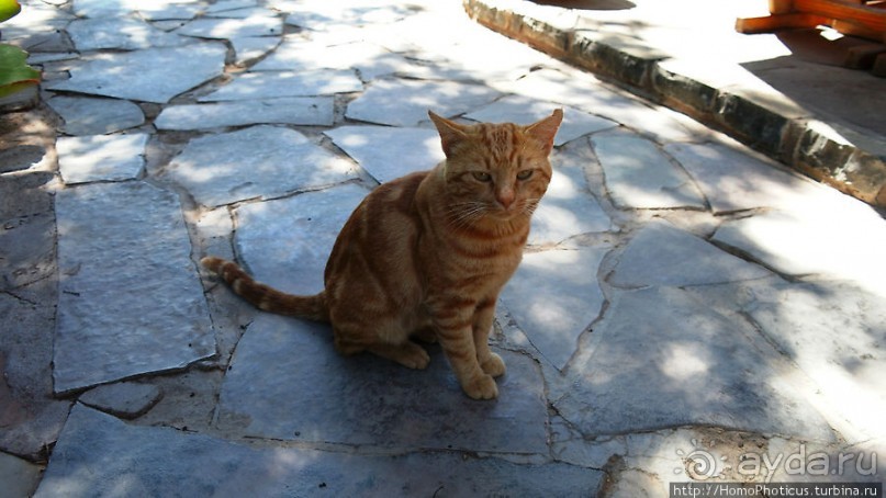 Преддверие Намиба