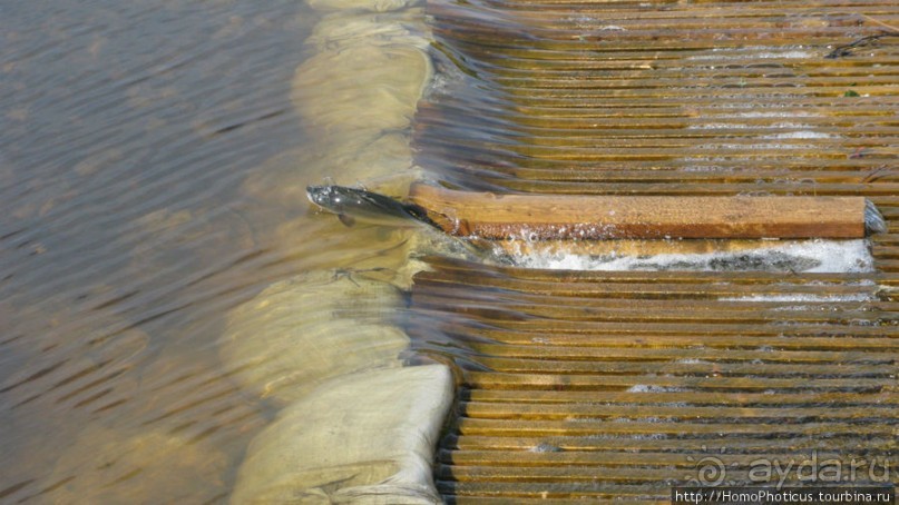 От Анивы до Охотского