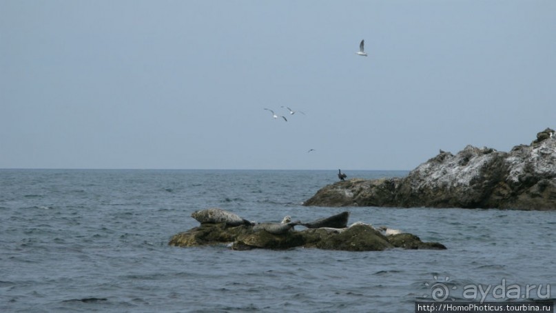 От Анивы до Охотского