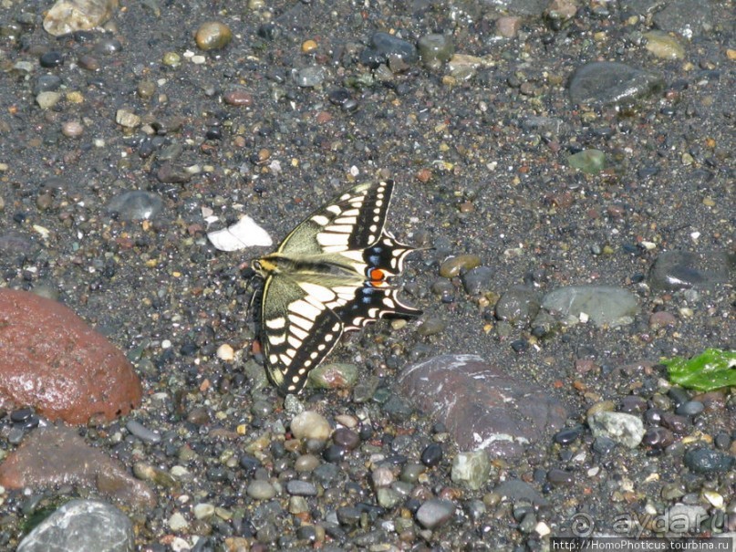 От Анивы до Охотского