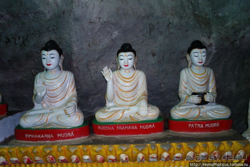 Заблудиться в Буддах