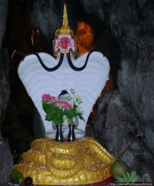 Альбом отзыва "Заблудиться в Буддах"