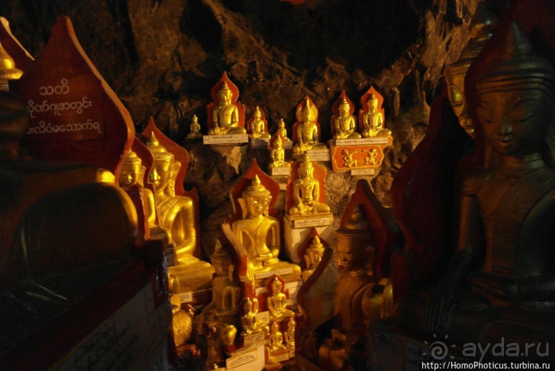 Заблудиться в Буддах