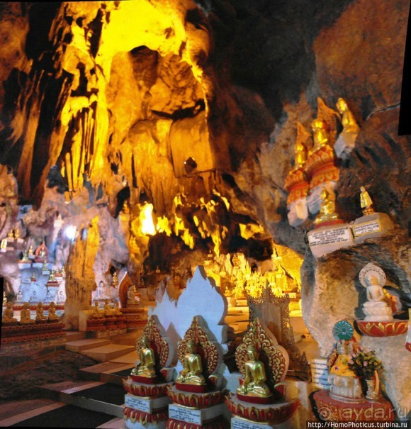 Заблудиться в Буддах