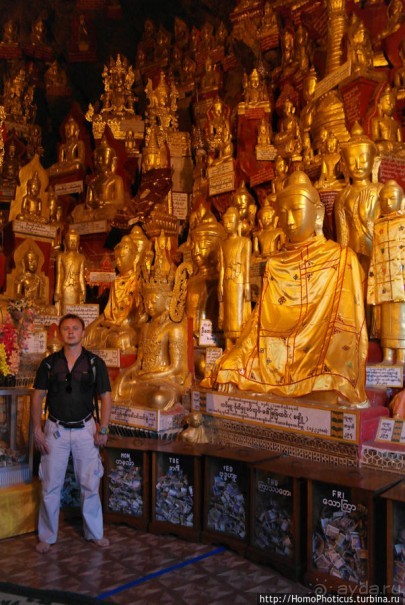 Заблудиться в Буддах