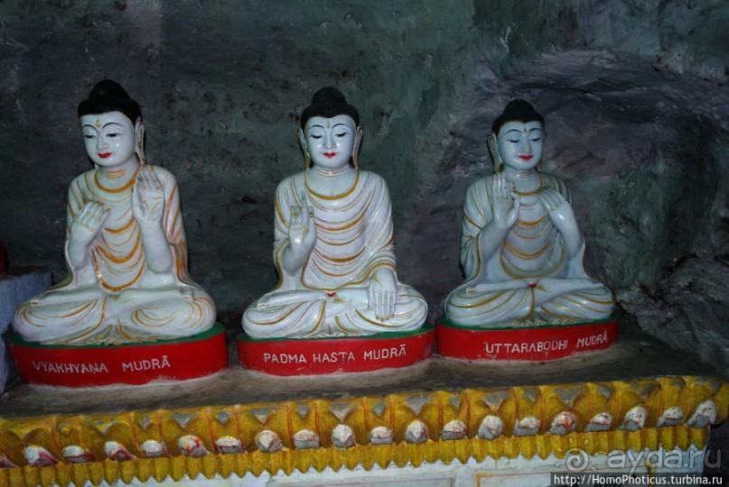 Заблудиться в Буддах