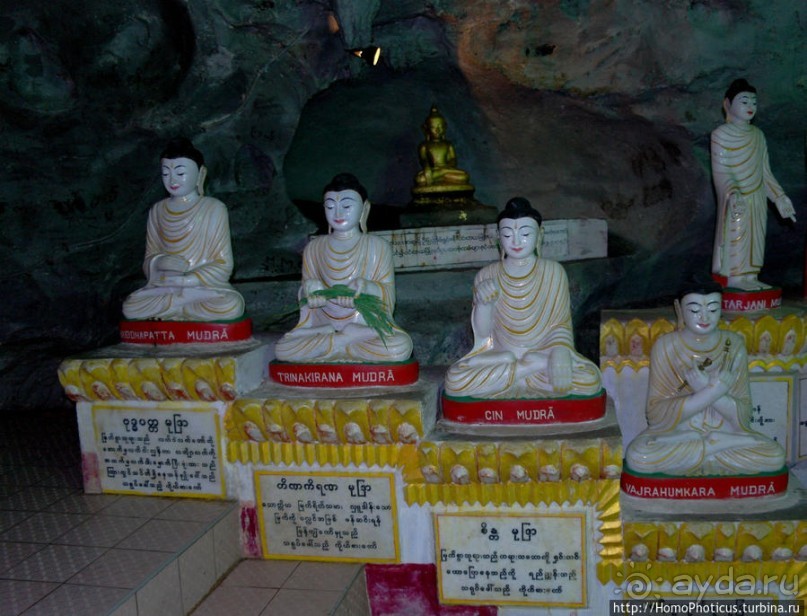 Заблудиться в Буддах