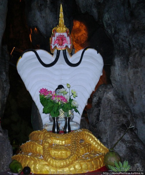 Заблудиться в Буддах