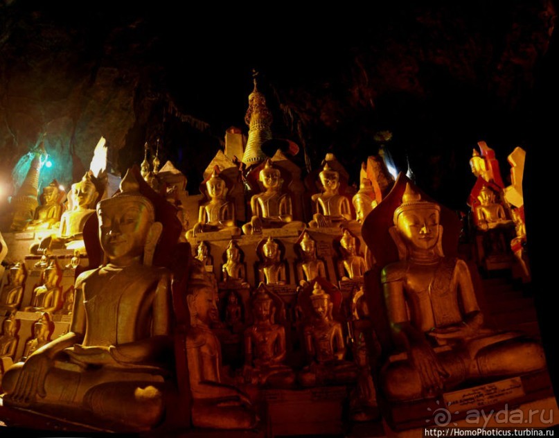 Заблудиться в Буддах