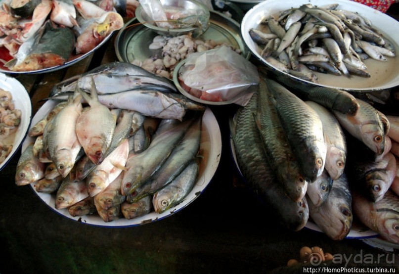 Под «Уважаемым банановым деревом»