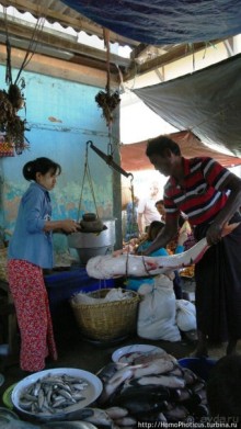 Под «Уважаемым банановым деревом»