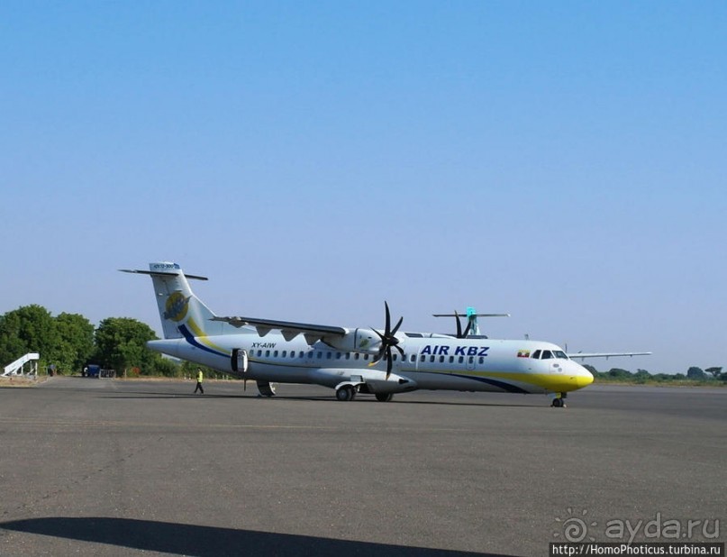 Под «Уважаемым банановым деревом»