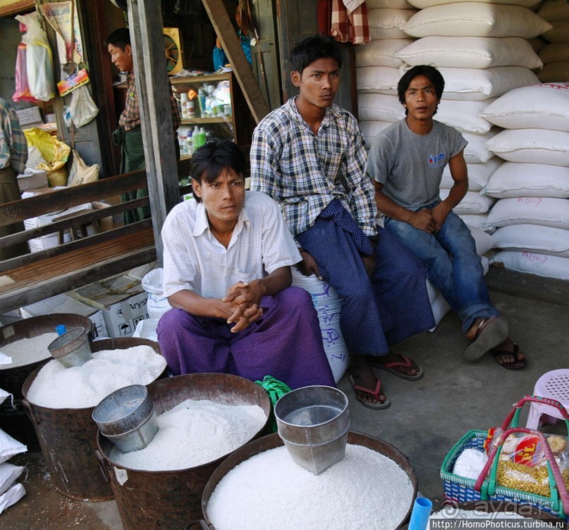 Под «Уважаемым банановым деревом»