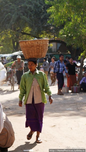 Под «Уважаемым банановым деревом»
