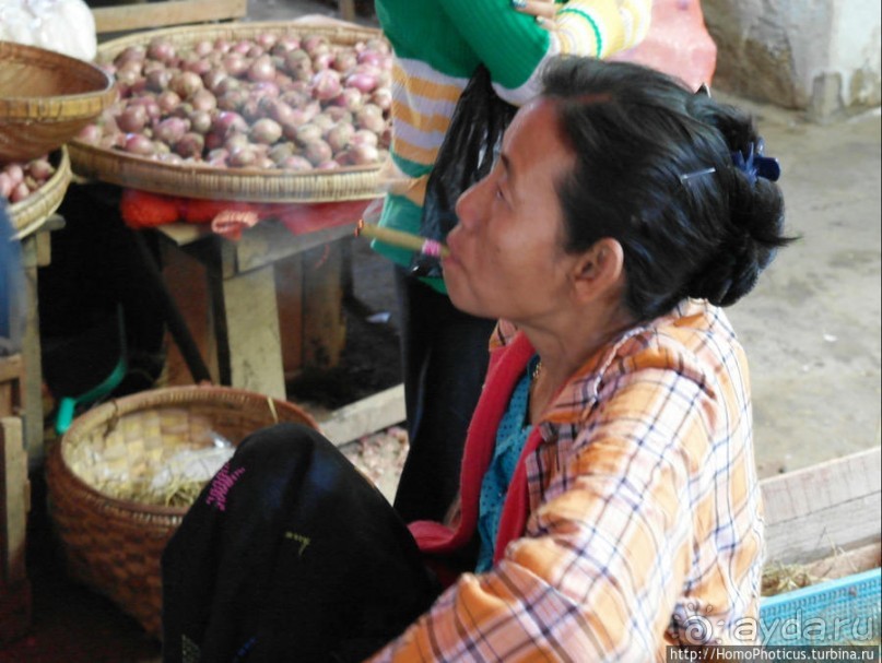 Под «Уважаемым банановым деревом»