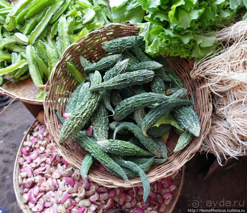 Под «Уважаемым банановым деревом»