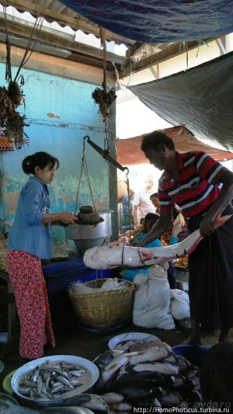 Под «Уважаемым банановым деревом»