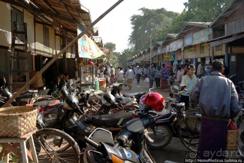 Под «Уважаемым банановым деревом»