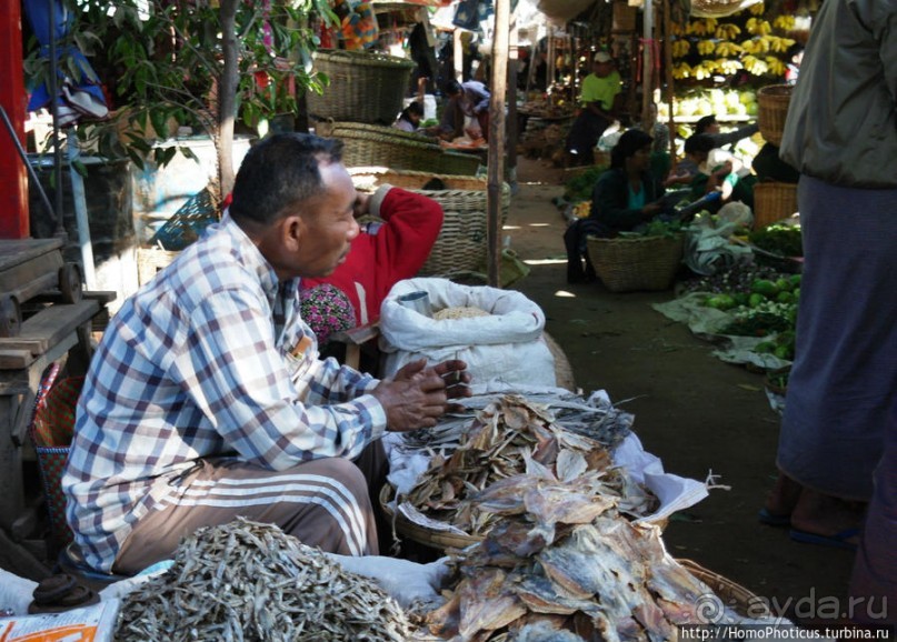 Под «Уважаемым банановым деревом»