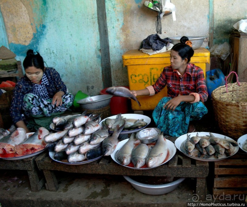 Под «Уважаемым банановым деревом»