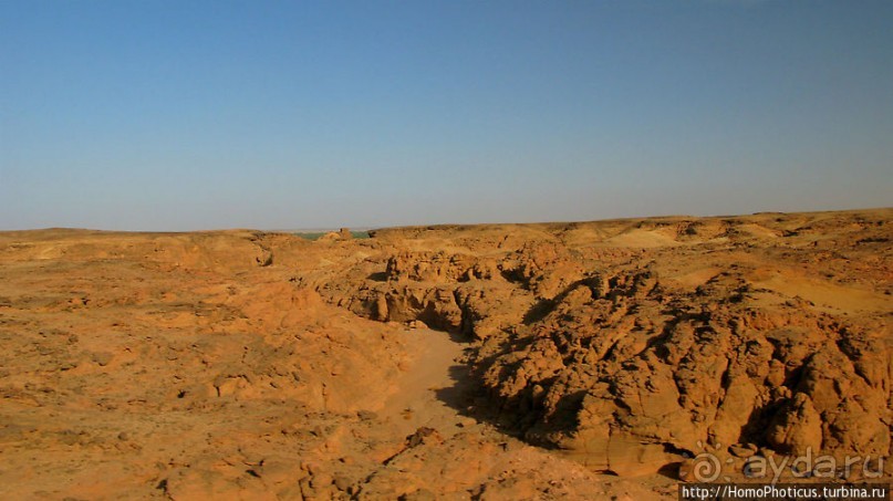 Вотчина черных фараонов