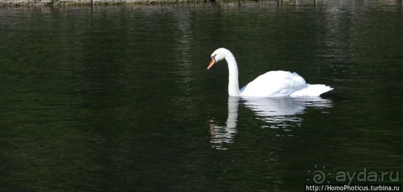 Здесь жили нимфы
