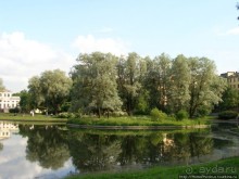 По Питеру с утра до утра