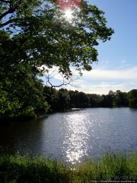 По Питеру с утра до утра