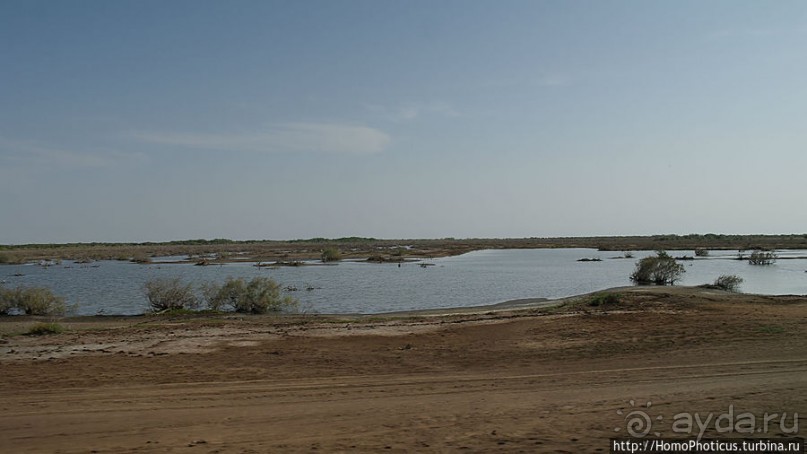 Когда вокруг — одни бакланы