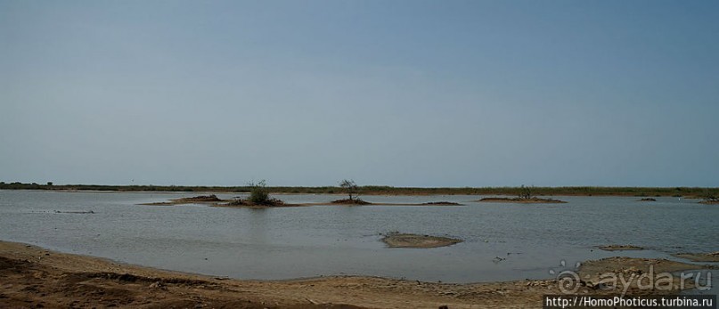Когда вокруг — одни бакланы