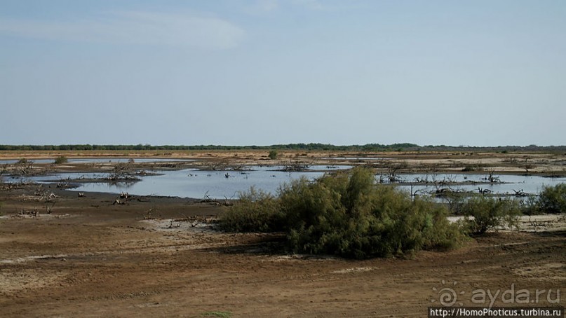 Когда вокруг — одни бакланы