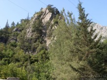 Альбом отзыва "Местные активити"