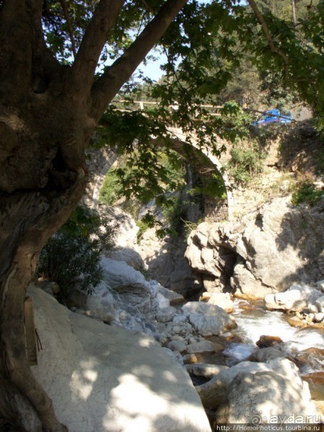 Местные активити