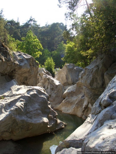 Местные активити