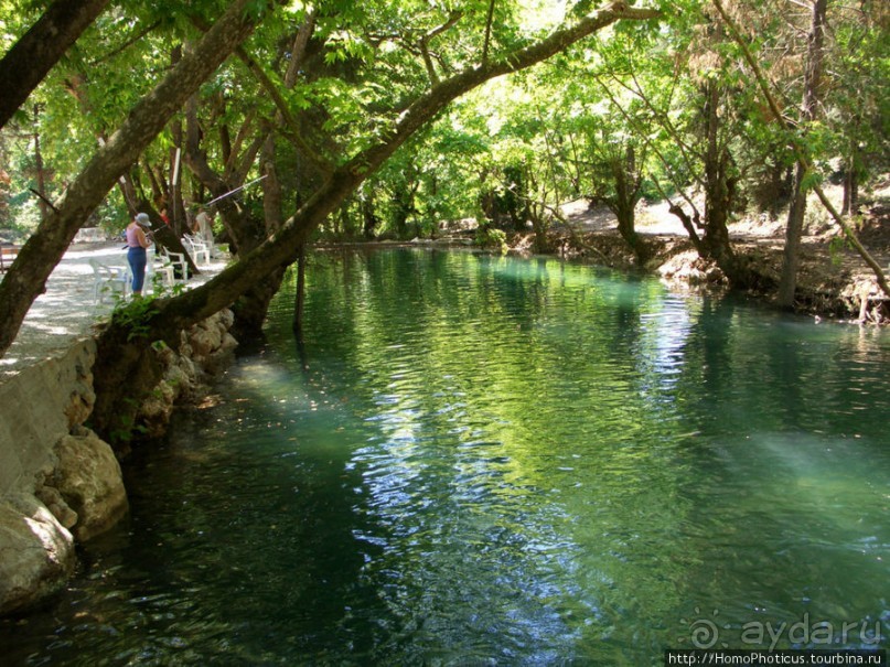 Местные активити